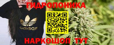 ГАЛЛЮЦИНОГЕННЫЕ ГРИБЫ Лесосибирск