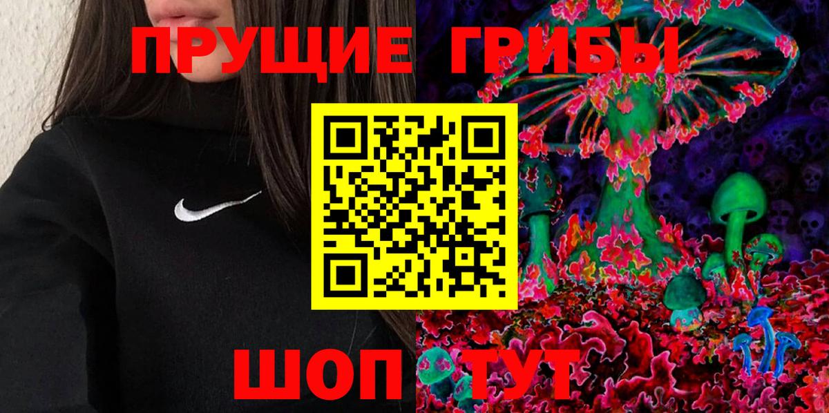 Галлюциногенные грибы Psilocybe  Вход с VPN  цены наркотик  Холмск 