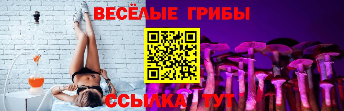 Галлюциногенные грибы Psilocybine cubensis Холмск
